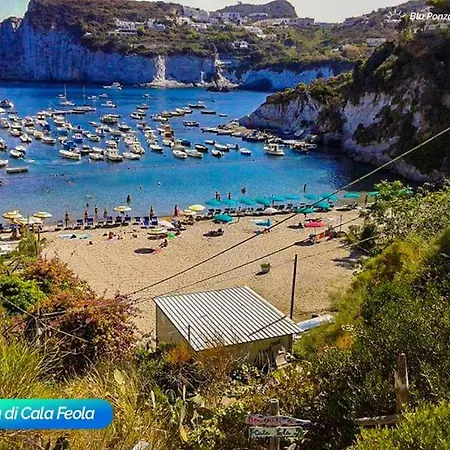 Bluponza Falco * Ponza