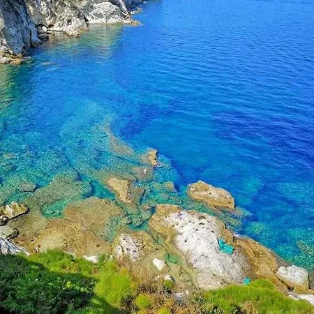 Apartment Bluponza Falco