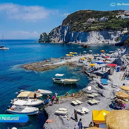 Bluponza Falco Ponza